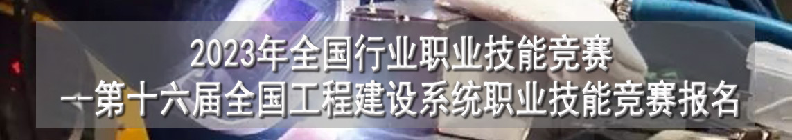 首页中间入口banner