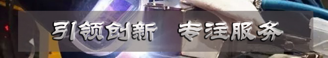 首页中间入口banner