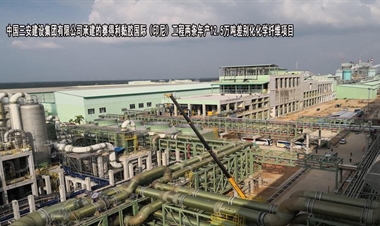 中国三安建设集团有限公司-赛得利黏胶国际（印尼）工程两条年产12.5万吨差别化化学纤维项目